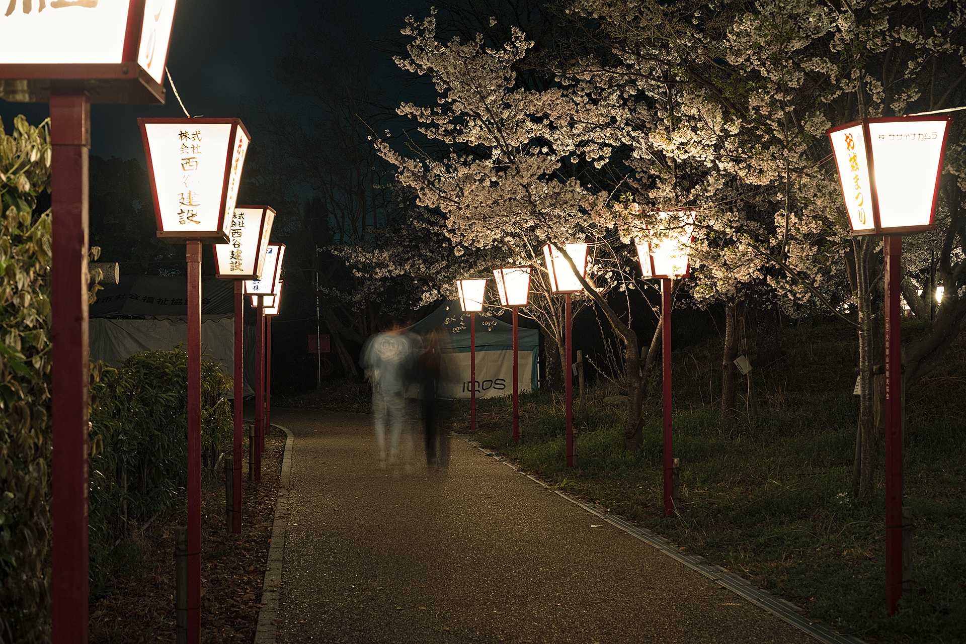 Night time wandering with a tripod