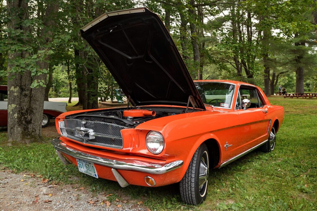 An orange 1966 Ford Mustang with its hood open, parked on a grassy lot with trees and picnic tables in the background.